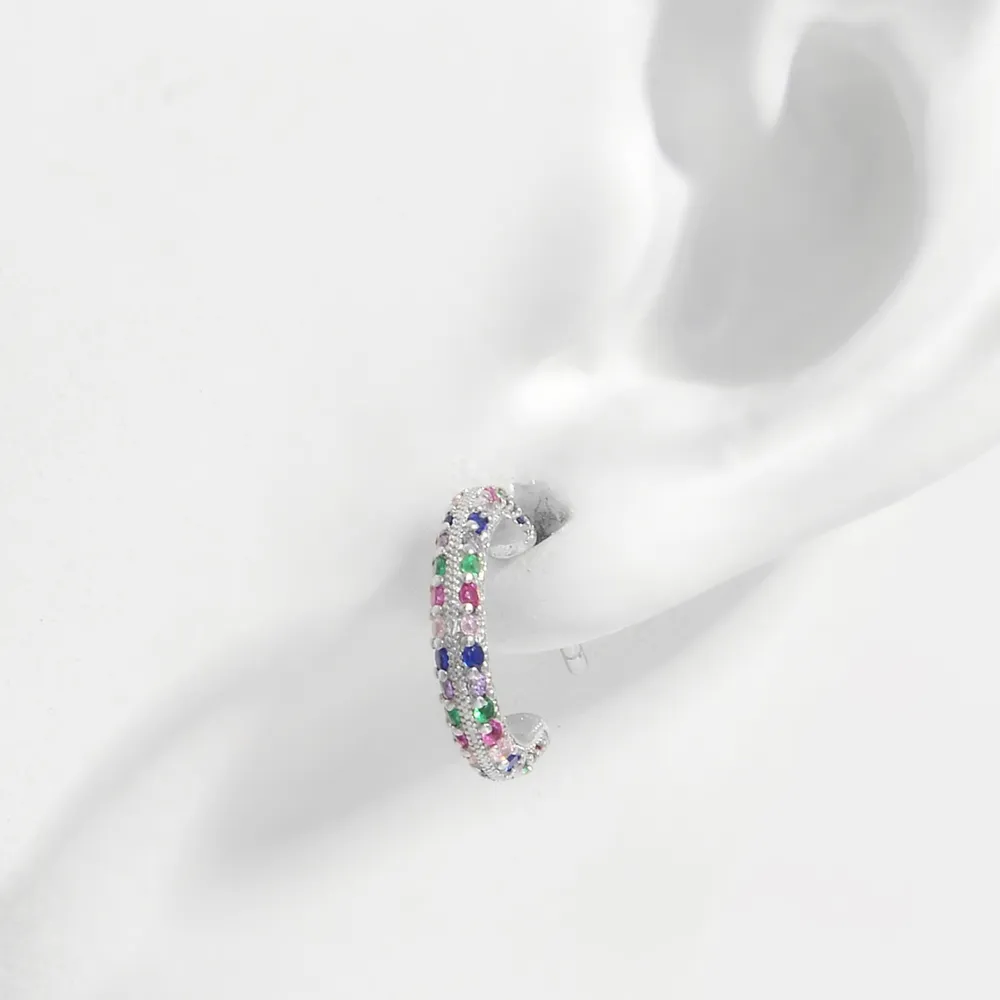 925 Sterling Silver Contrast Zircon Earrings
