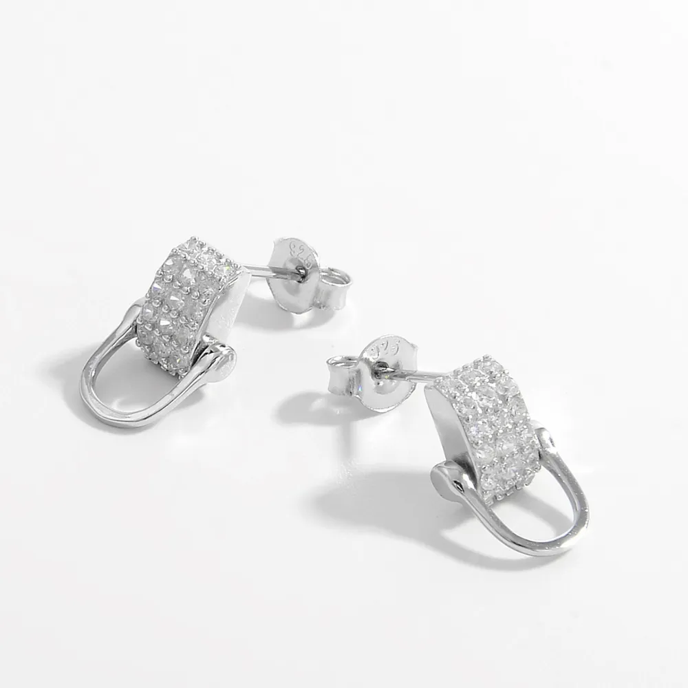 925 Sterling Silver Inlaid Zircon Earrings - Image 3
