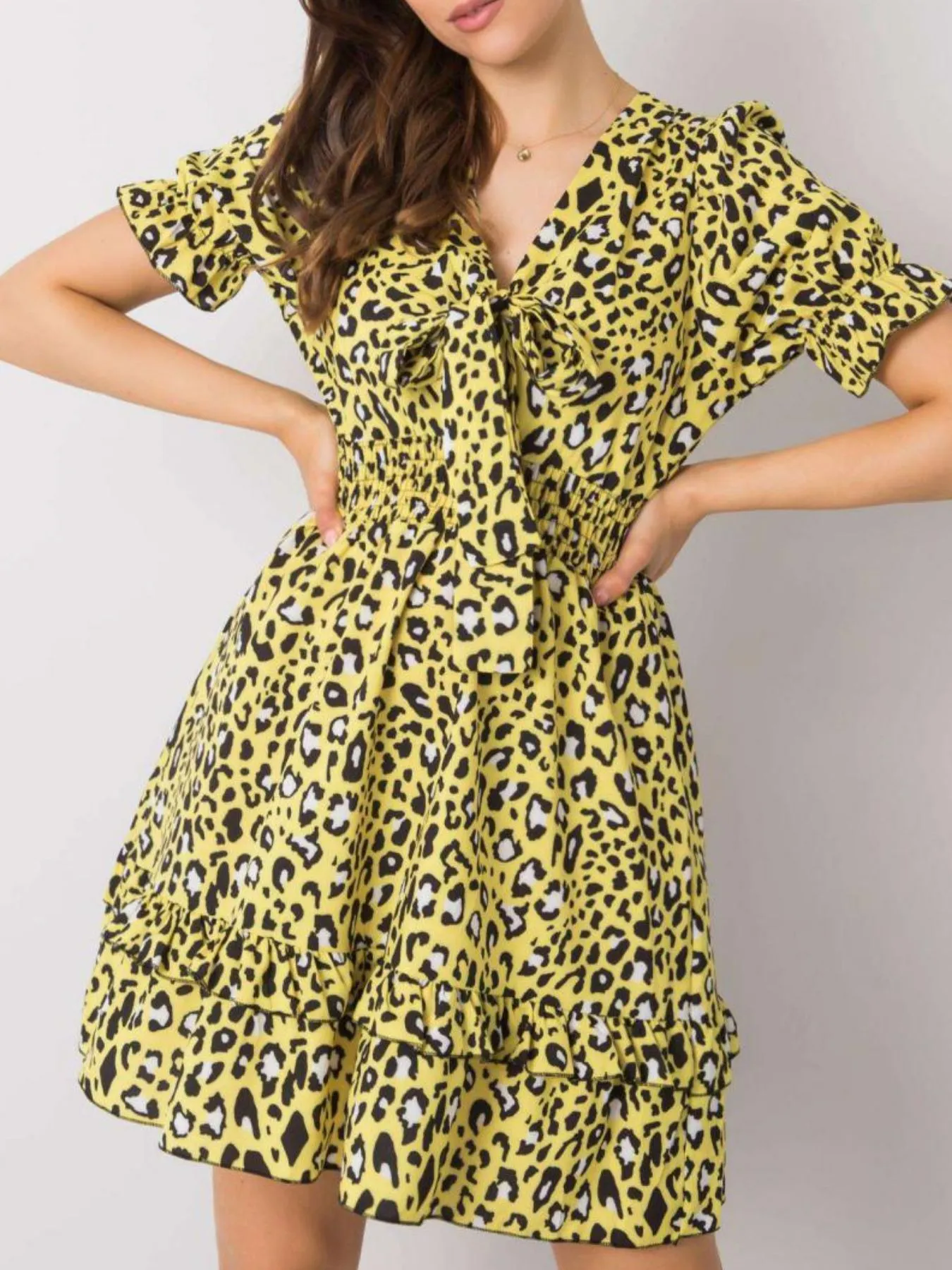 Leopard Print Tie Front Short Sleeve Mini Dress - Image 5